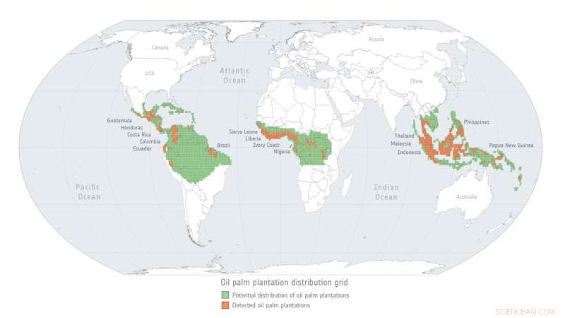 Mapping Agricultural Deforestation: Oil Palm Plantations & Forest Loss