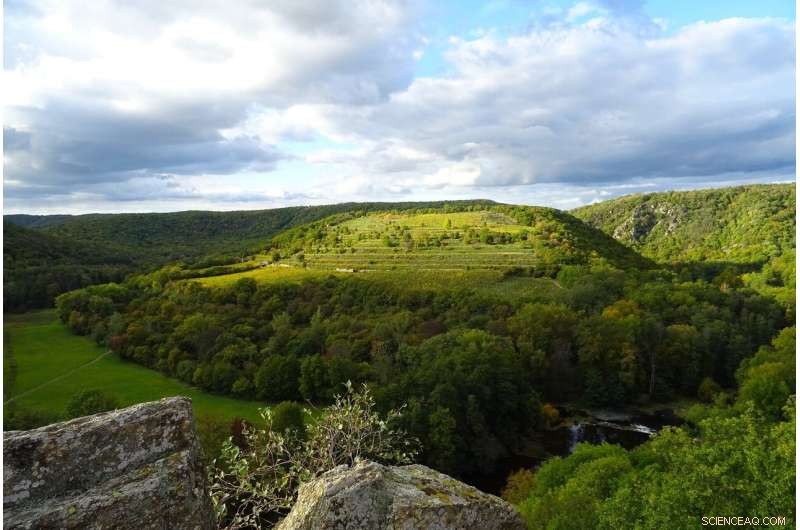 COVID Lockdowns Triggered Sharp Increase in Fires within Madagascar s Protected Areas, Study Reveals
