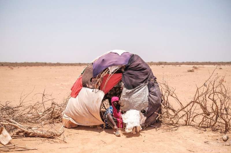 Ethiopia Faces Worst Drought in Decades, Threatening Nomadic Livelihoods