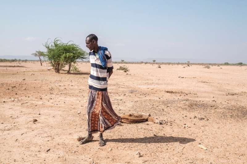 Ethiopia Faces Worst Drought in Decades, Threatening Nomadic Livelihoods