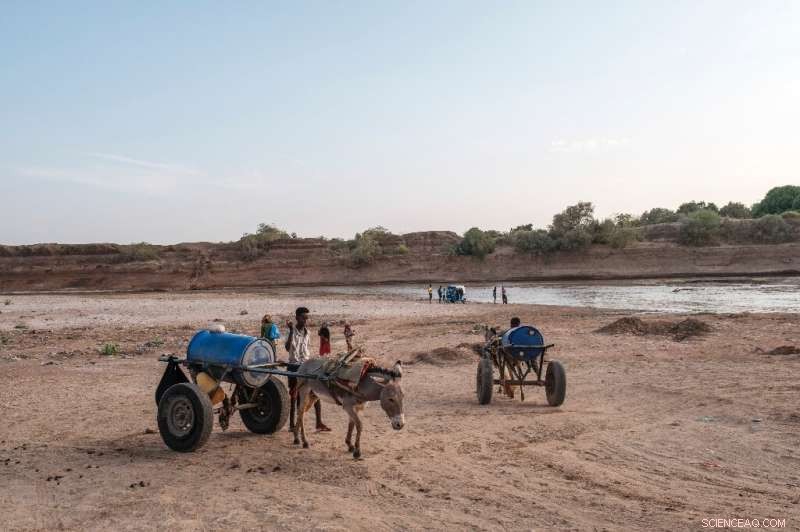 Ethiopia Faces Worst Drought in Decades, Threatening Nomadic Livelihoods