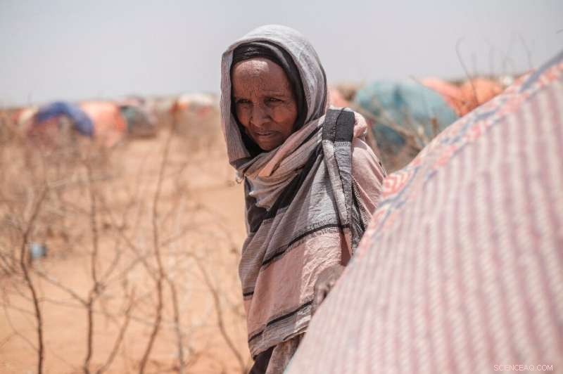 Ethiopia Faces Worst Drought in Decades, Threatening Nomadic Livelihoods