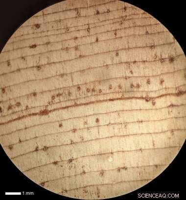Scientists Narrow In on Precise Date of Thera Volcano Eruption