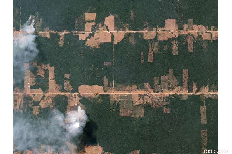 Increasing Tropical Deforestation Threatens Climate Goals