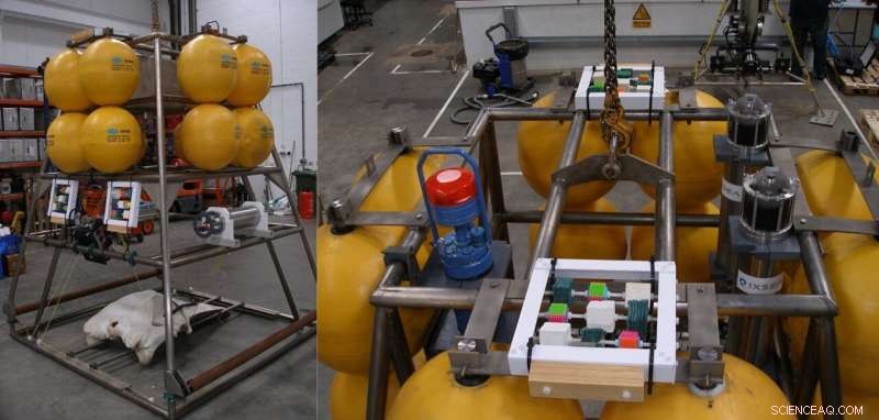 Scientists Identify Deep-Sea Bacteria That Attach to Plastic and Potentially Facilitate Oceanic Transport