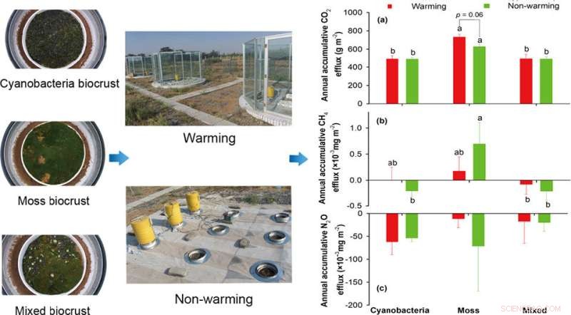 Arid Biocrusts: Climate Warming Won’t Alter Their Greenhouse Gas Emissions
