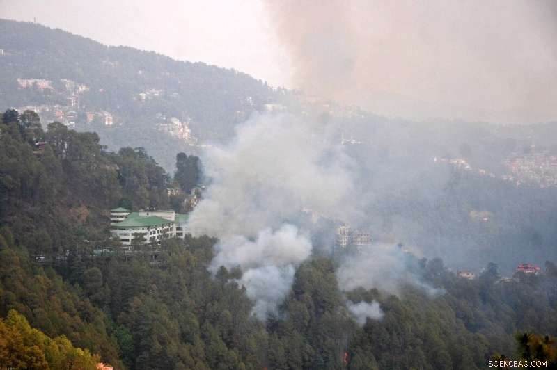 South Asia Heatwave: Power Cuts and Forest Fires Exacerbate Climate Crisis