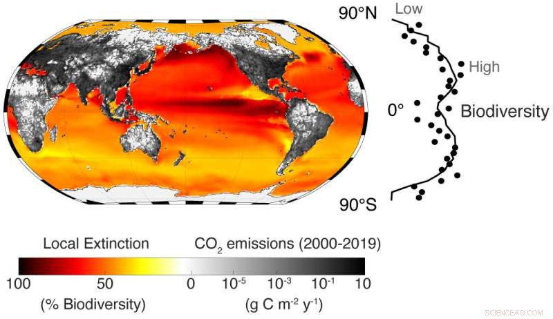 Unchecked Global Emissions Threaten Marine Biodiversity, Study Warns of Possible Mass Extinction