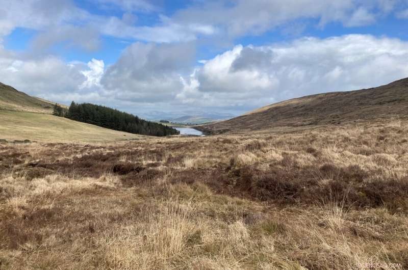 Ireland’s Remote Community Thrived for 1,000 Years Amid Environmental Shifts