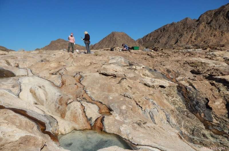 Earth Microbes Offer Clues to Life on Other Planets