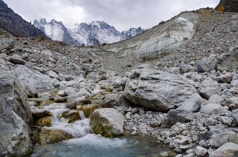 Climate Warming Drives Global Change in Glacier-Feed Stream Ecosystems