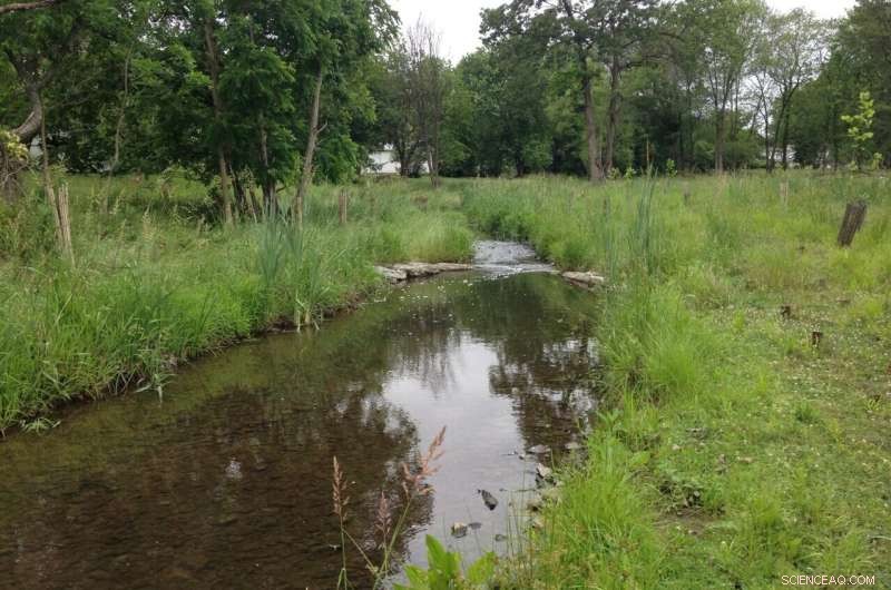 Maximizing Environmental Gains in Stream Restoration Despite Homeowner Cost Concerns