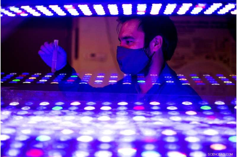 Microplastics Permeate Our Environment—Experts Warn of Unknown Risks