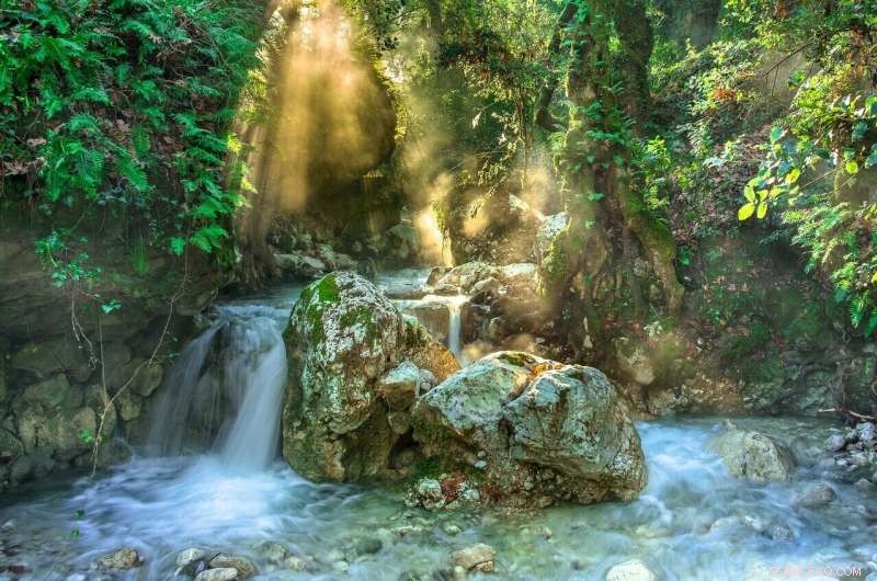 New Study Highlights Global Gaps in Stream Monitoring, Guiding Future Sensor Deployment