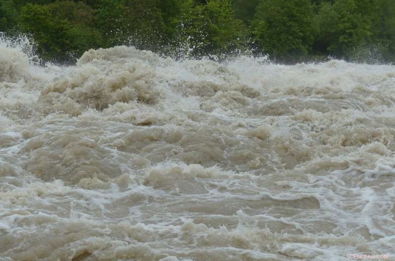 Maryland Declares Back River Unsafe for All Human Contact Amid Wastewater Plant Failures