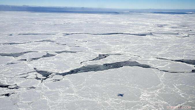 Antarctic Sea Ice Expands Despite Global Warming: New Study Reveals Unexpected Trends
