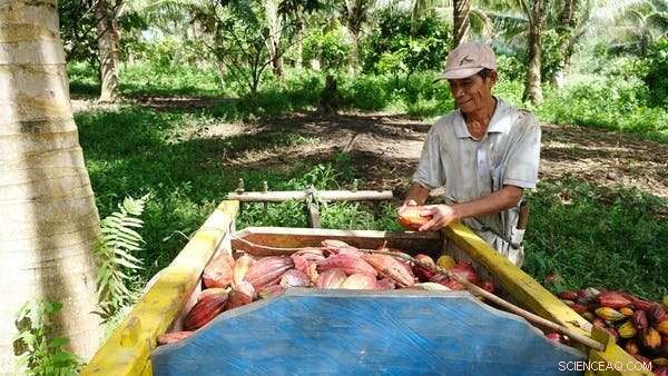 Climate Change Triggers Global Collapse in Insect Populations; Farmland Faces 63% Decline, New Research Shows