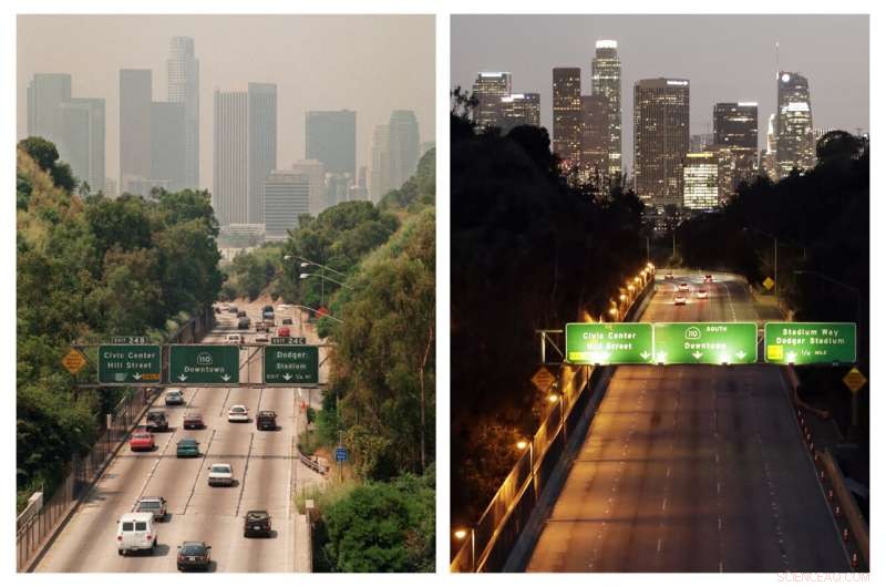 NASA Reveals Ozone Recovery: Reduced Smog, Revitalized Wildlife