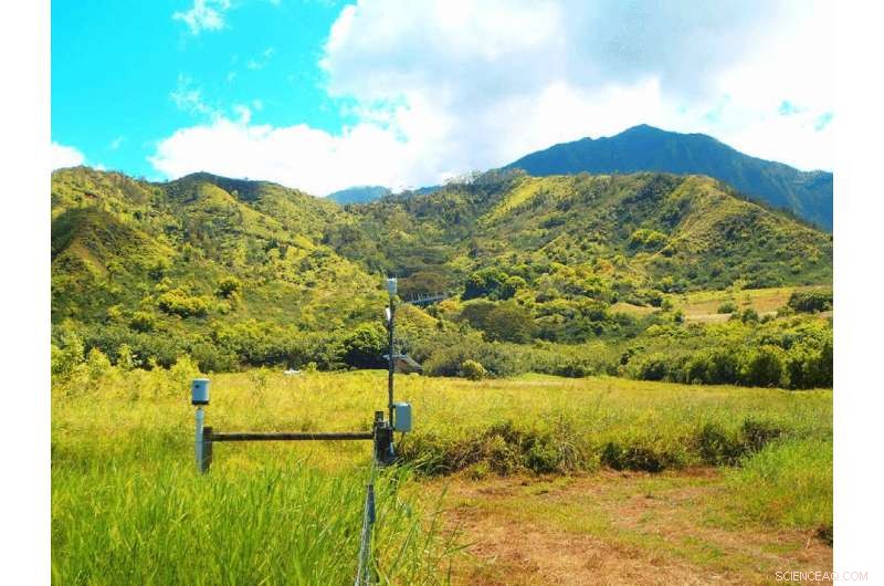 2018 Kauai Record‑Setting Rainstorm Triggered by Supercell Thunderstorms