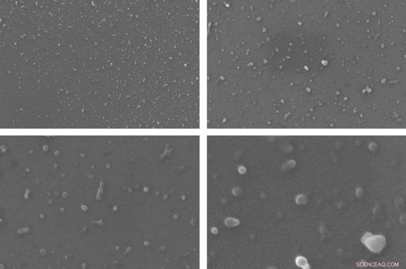 Scientific Study Finds Everyday Plastics Release Trillions of Microparticles into Water