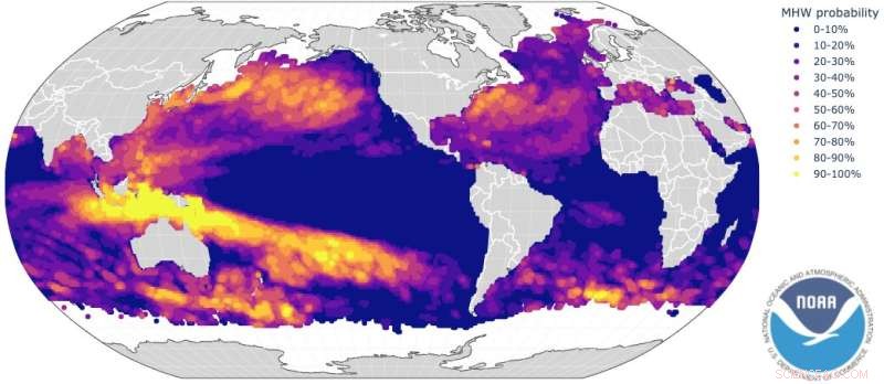 Updated Global Marine Heatwave Forecasts Warn of Ecological and Economic Impacts