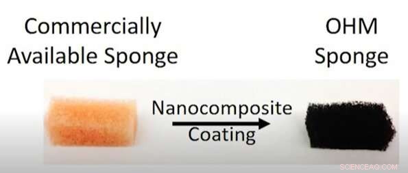 New Sponge Technology Cleans Oil, Microplastics, and Phosphates from Water—A Breakthrough in Pollution Mitigation