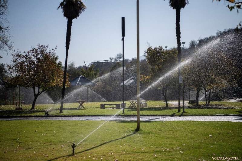 Santiago Switches to Native Plants Amid Drought