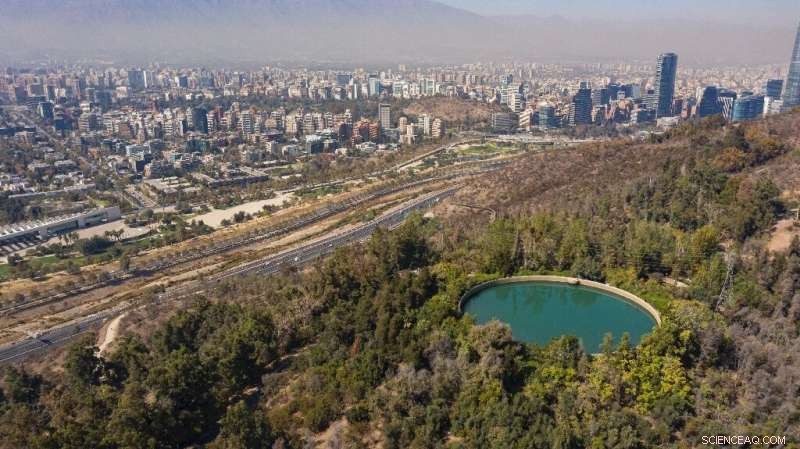Santiago Switches to Native Plants Amid Drought