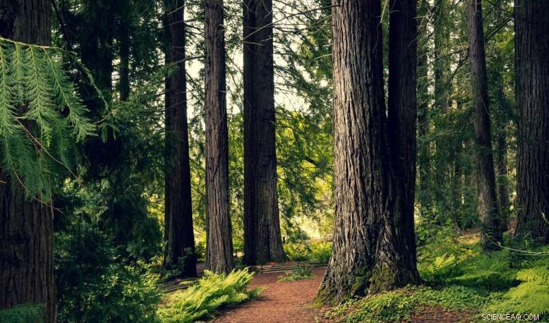 Balancing Conservation with Rising Land Demand: A Guide for Smart Policy Decisions