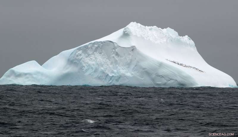 Global Research Confirms Antarctic Ocean Lacks Glacial Iron Fertilization Impact
