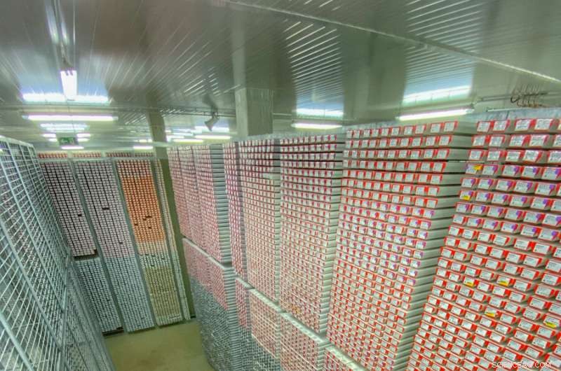 Global Research Confirms Antarctic Ocean Lacks Glacial Iron Fertilization Impact