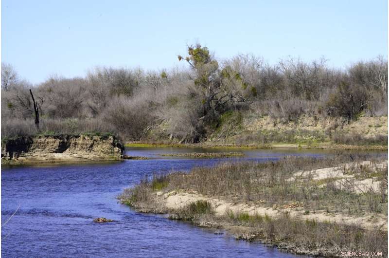 California Leads Floodplain Restoration Effort to Safeguard Rivers and Cut Flood Risk