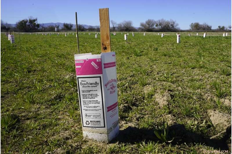 California Leads Floodplain Restoration Effort to Safeguard Rivers and Cut Flood Risk