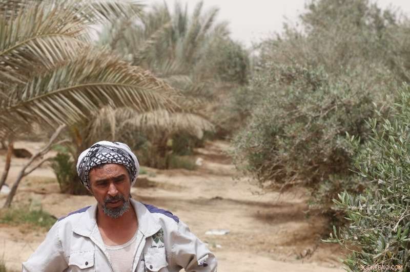 Iraq’s Karbala Green Belt: 16 Years of Climate Hope, Yet Still Struggling