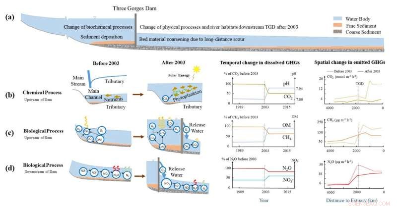 Assessing the Three Gorges Dam: A Key Player in Riverine Greenhouse Gas Dynamics