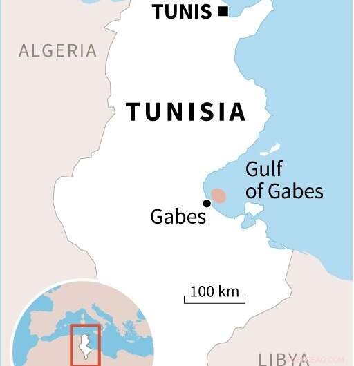No Fuel Leaks Detected After Tunisian Shipwreck, Divers Report