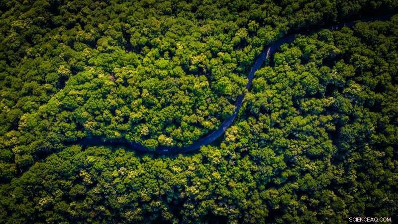 How Changing Vegetation Over 10,000 Years Influenced Global Temperatures