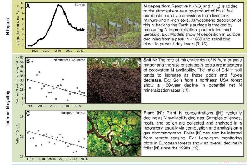 New Study Shows Declining Nitrogen Availability Despite Global Nitrogen Overload