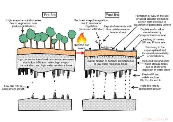 Stalagmites Uncover Australia’s Pre-Colonial Wildfire History