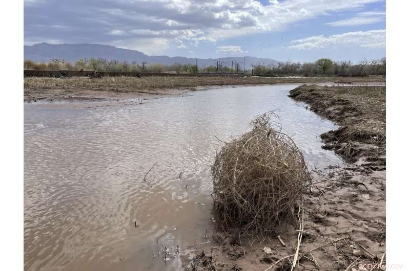 Western U.S. Faces Escalating Drought, Water Shortages Threaten Agriculture and Communities
