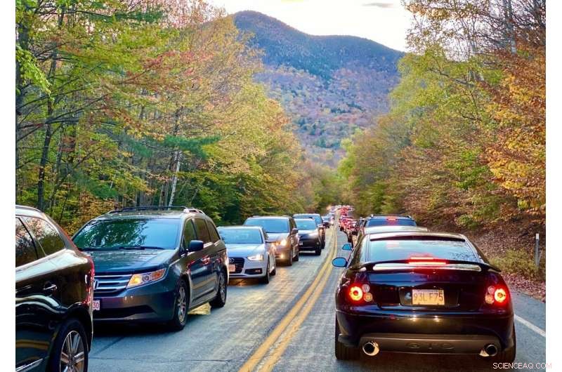 Study Reveals COVID-19 Exacerbates Strain on National Forests