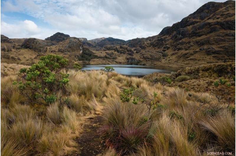 Ecuador Commences Oil Production in Amazon Reserve s Third Field