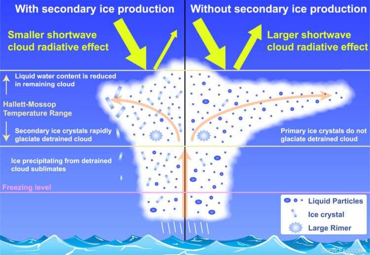 University of Washington Finds Ice Shards in Antarctic Clouds Boost Solar Energy Transmission to Earth s Surface
