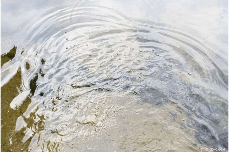 Climate Change Risks Lowering Germany s Groundwater Levels, Study Finds