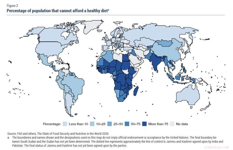 Poverty, Not Scarcity, Drives Global Hunger and Food Insecurity