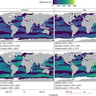Unveiling a Critical Marine Source of Cloud Nuclei