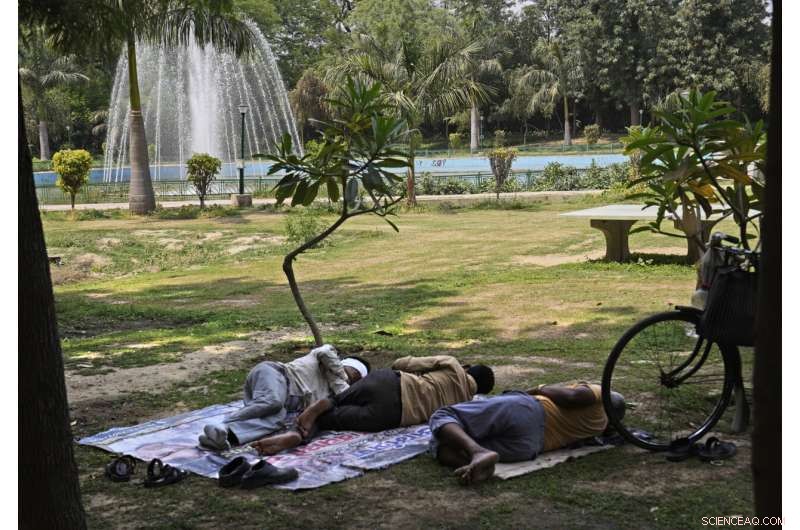 India s North West Grapples with Early Heat Wave, Record High Temperatures Forecasted