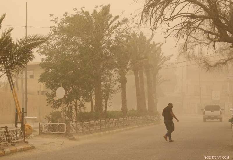 Iraq Faces Dust Storm Crisis: Dozens Hospitalized for Respiratory Issues