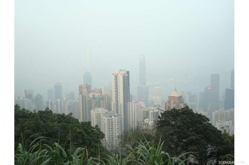 Tropical Cities Face 180,000 Excess Deaths from Air Pollution: Study Urges Urgent Action