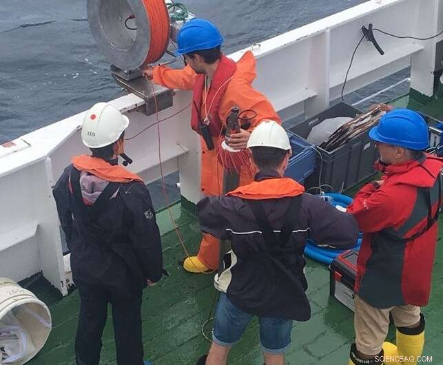 Spawning Fish Stir Turbulence, Maintaining Healthy Coastal Circulation